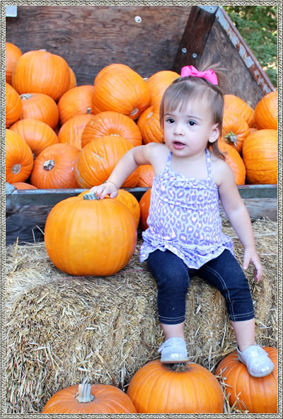 toddler at pumpkin patch